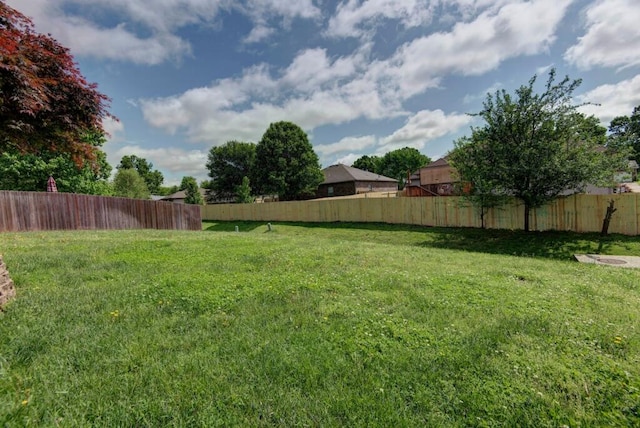view of yard