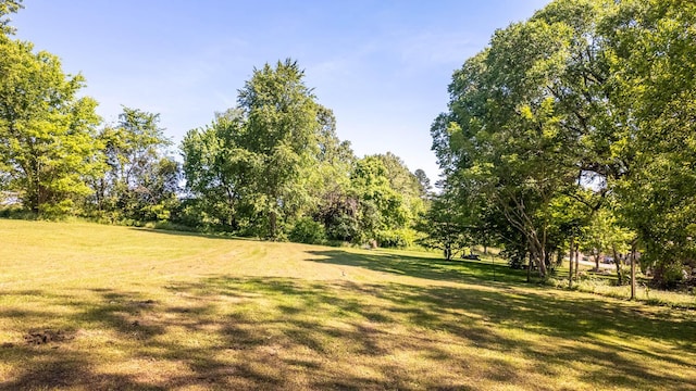 920 Oak St, Thayer, MO 65791 - view of green lawn