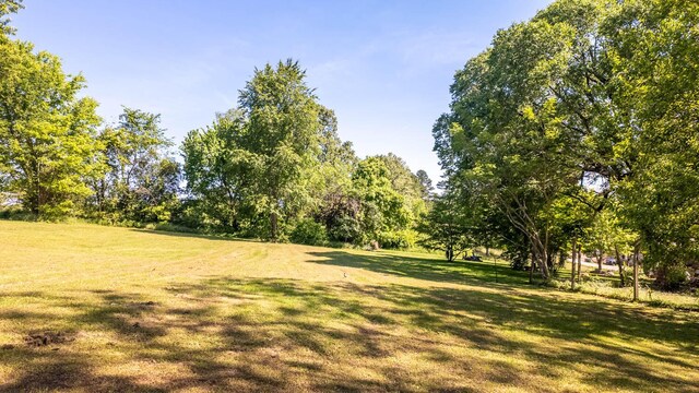 920 Oak St, Thayer, MO 65791 - view of grassy yard