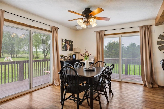 1215 E 515th Rd, Morrisville, MO 65710 - dining room featuring wood finished floors, healthy amount of natural light, and ceiling fan