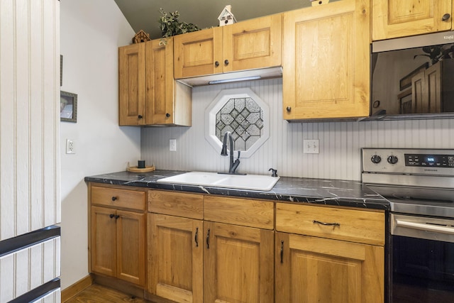 1226 Peace In Valley Rd, Blue Eye, MO 65611 - kitchen with stainless steel electric range oven, a sink, dark wood-style floors, and brown cabinetry