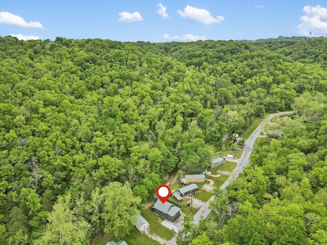 1226 Peace In Valley Rd, Blue Eye, MO 65611 - aerial view of property and surrounding area featuring a forest