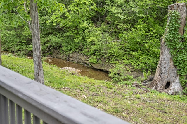 1226 Peace In Valley Rd, Blue Eye, MO 65611 - view of yard