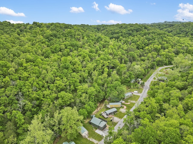 1226 Peace In Valley Rd, Blue Eye, MO 65611 - bird's eye view of a forest
