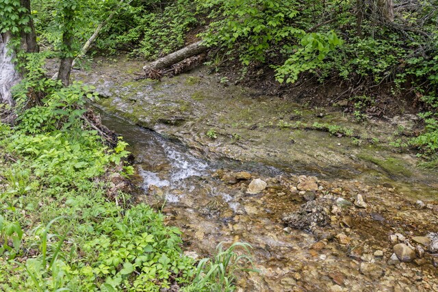 1226 Peace In Valley Rd, Blue Eye, MO 65611 - view of local wilderness