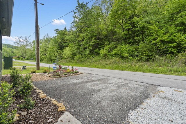 1226 Peace In Valley Rd, Blue Eye, MO 65611 - view of asphalt road
