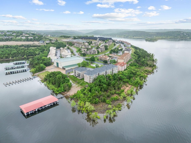 680 Emerald Pointe Dr Unit 6, Hollister, MO 65672 - drone / aerial view of a nearby body of water