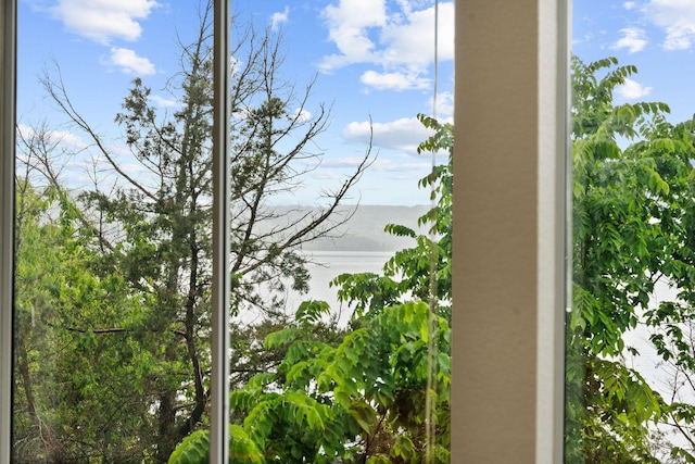 680 Emerald Pointe Dr Unit 6, Hollister, MO 65672 - detailed view of a water view