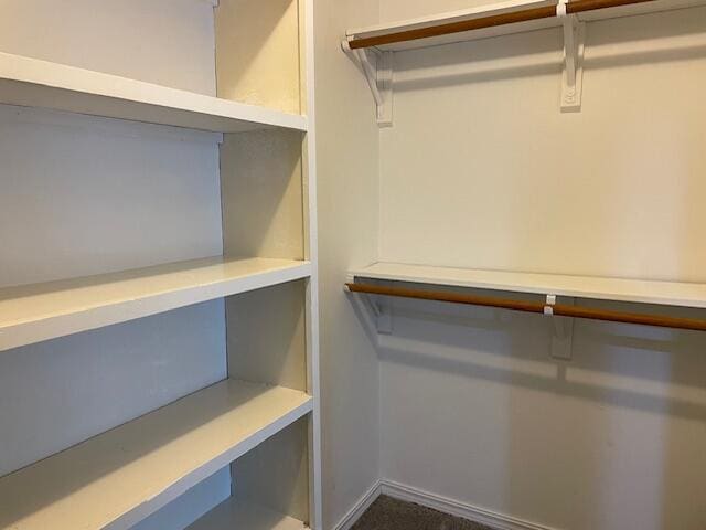 1627 W Lindberg St, Springfield, MO 65807 - view of spacious closet