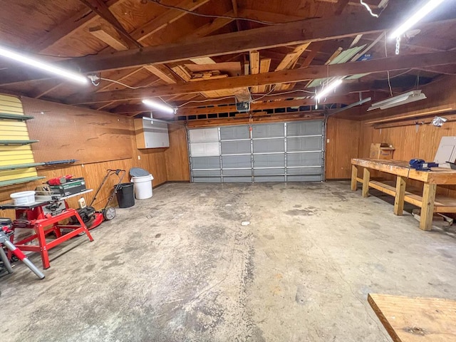 106 Blue Ridge Dr, Theodosia, MO 65761 - garage with a garage door opener and a workshop area