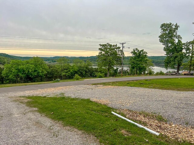 106 Blue Ridge Dr, Theodosia, MO 65761 - view of dirt / gravel road