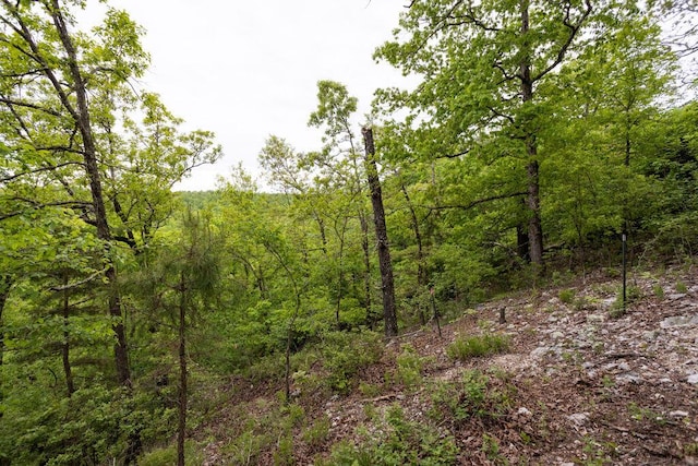 0000 County Road 3810, West Plains, MO 65775 - photo 29
