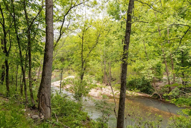 0000 County Road 3810, West Plains, MO 65775 - photo 41