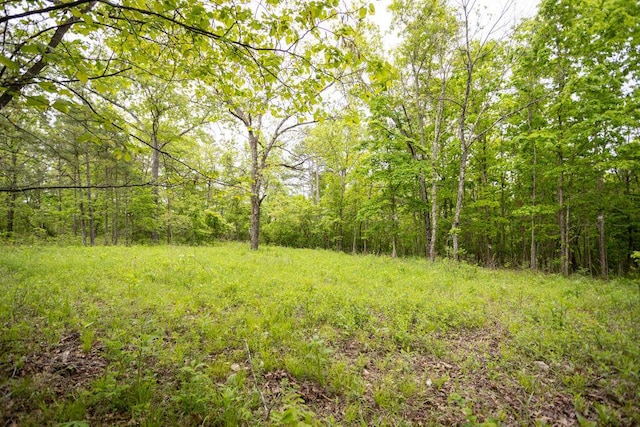 0000 County Road 3810, West Plains, MO 65775 - photo 35