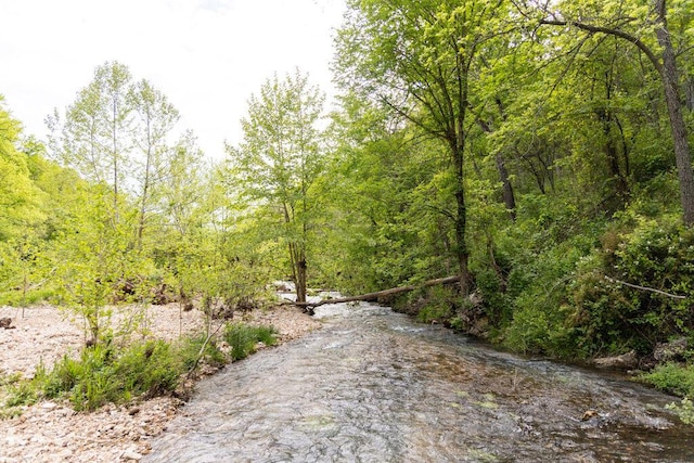 0000 County Road 3810, West Plains, MO 65775 - photo 56