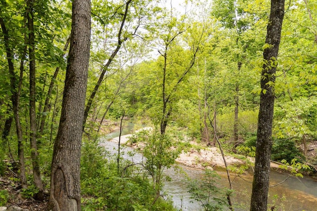 0000 County Road 3810, West Plains, MO 65775 - photo 42