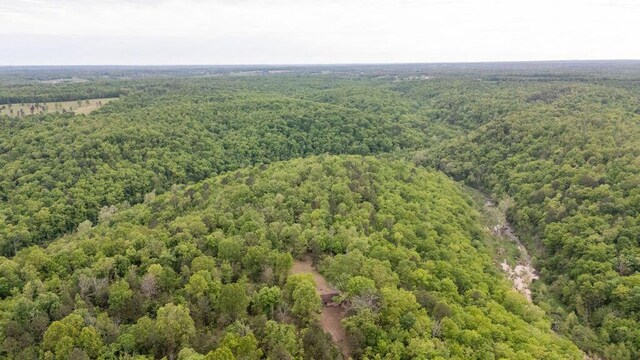0000 County Road 3810, West Plains, MO 65775 - photo 111