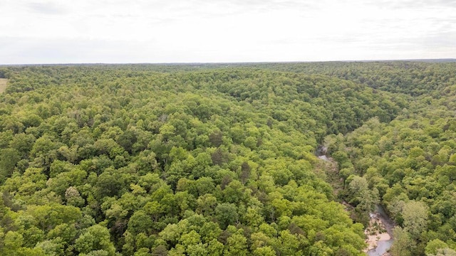 0000 County Road 3810, West Plains, MO 65775 - photo 101