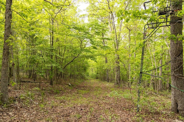 0000 County Road 3810, West Plains, MO 65775 - photo 63