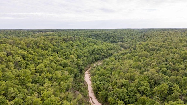 0000 County Road 3810, West Plains, MO 65775 - photo 107