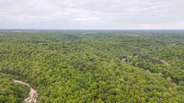 0000 County Road 3810, West Plains, MO 65775 - photo 118