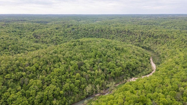 0000 County Road 3810, West Plains, MO 65775 - photo 121