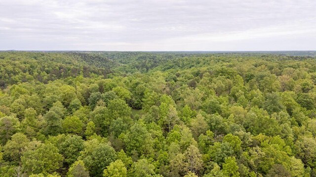 0000 County Road 3810, West Plains, MO 65775 - photo 106
