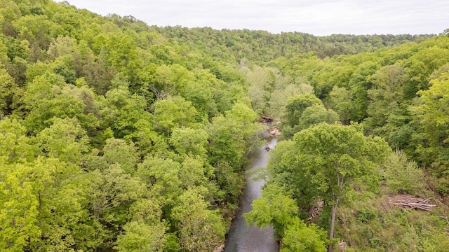 0000 County Road 3810, West Plains, MO 65775 - photo 95