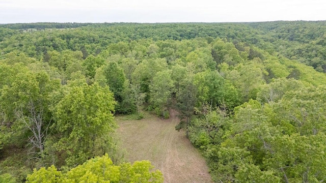 0000 County Road 3810, West Plains, MO 65775 - photo 110