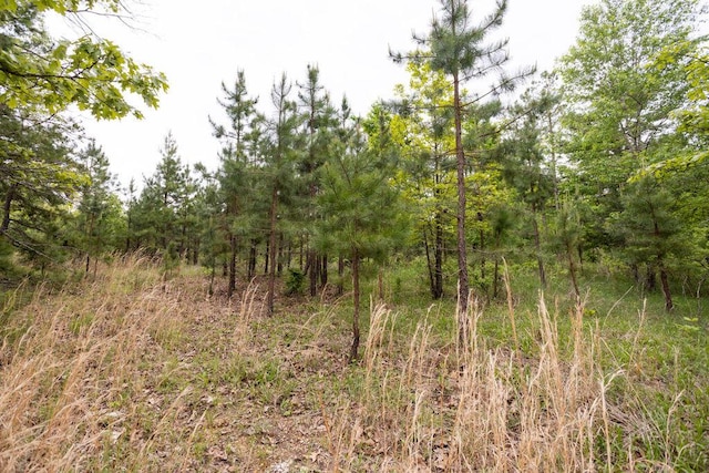 0000 County Road 3810, West Plains, MO 65775 - photo 32