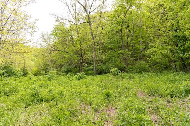 0000 County Road 3810, West Plains, MO 65775 - photo 71