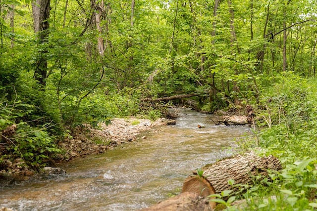 0000 County Road 3810, West Plains, MO 65775 - photo 89