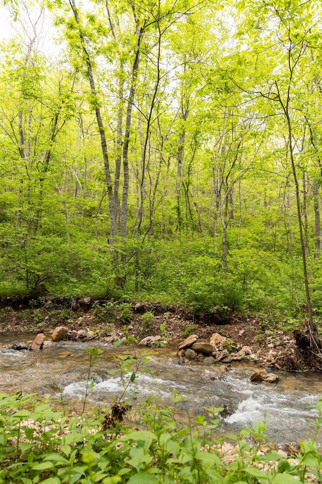 0000 County Road 3810, West Plains, MO 65775 - photo 82