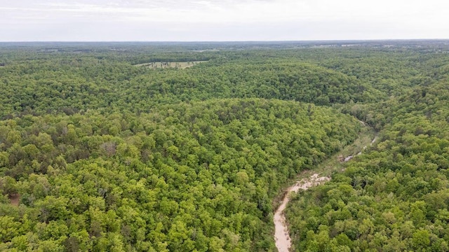 0000 County Road 3810, West Plains, MO 65775 - photo 117