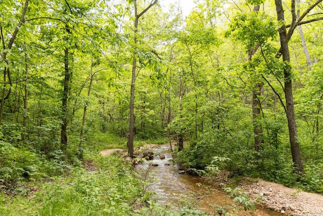 0000 County Road 3810, West Plains, MO 65775 - photo 81