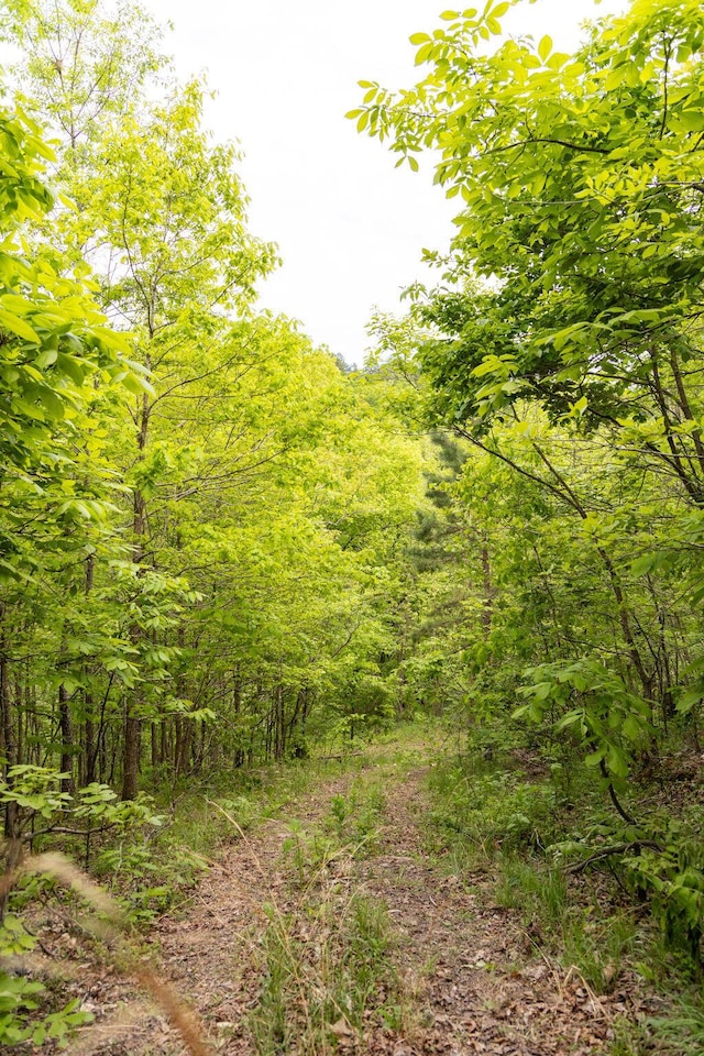 0000 County Road 3810, West Plains, MO 65775 - photo 75