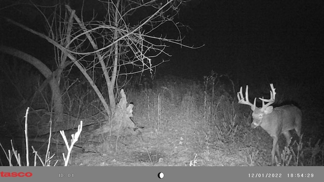 0000 County Road 3810, West Plains, MO 65775 - photo 125