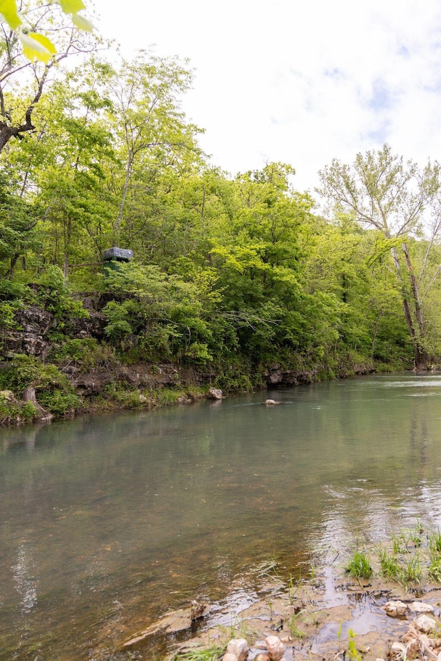0000 County Road 3810, West Plains, MO 65775 - photo 48