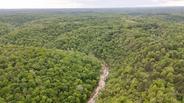 0000 County Road 3810, West Plains, MO 65775 - photo 116