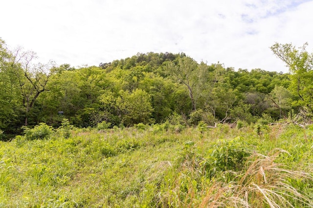 0000 County Road 3810, West Plains, MO 65775 - photo 47