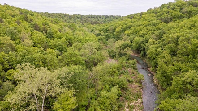 0000 County Road 3810, West Plains, MO 65775 - photo 94