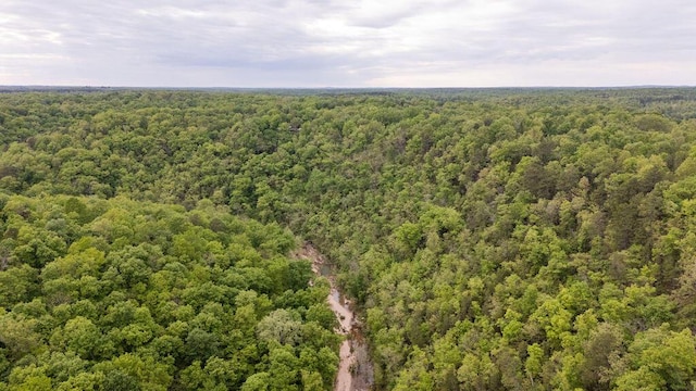 0000 County Road 3810, West Plains, MO 65775 - photo 104
