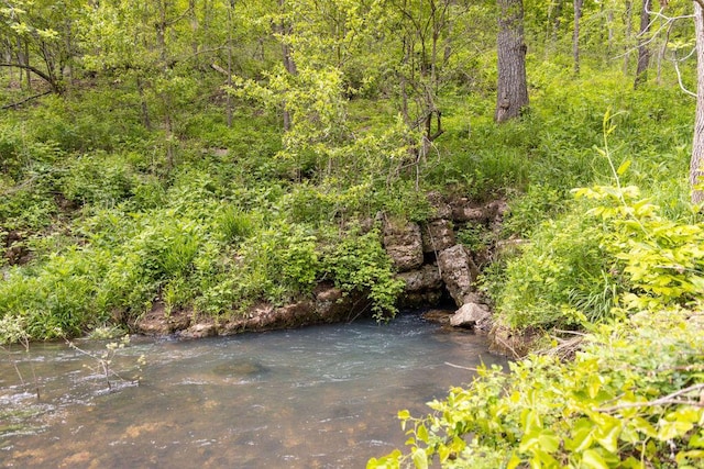 0000 County Road 3810, West Plains, MO 65775 - photo 54