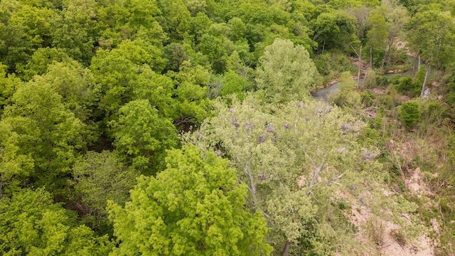 0000 County Road 3810, West Plains, MO 65775 - photo 96