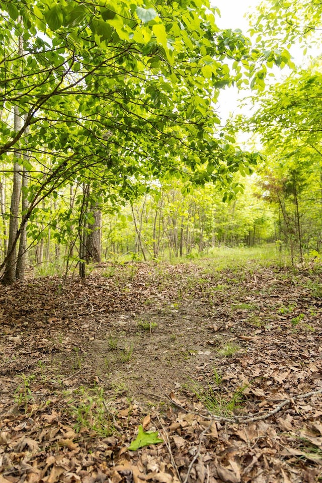 0000 County Road 3810, West Plains, MO 65775 - photo 59