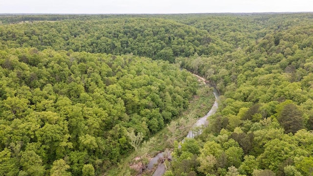 0000 County Road 3810, West Plains, MO 65775 - photo 109
