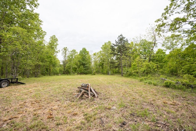 0000 County Road 3810, West Plains, MO 65775 - photo 34