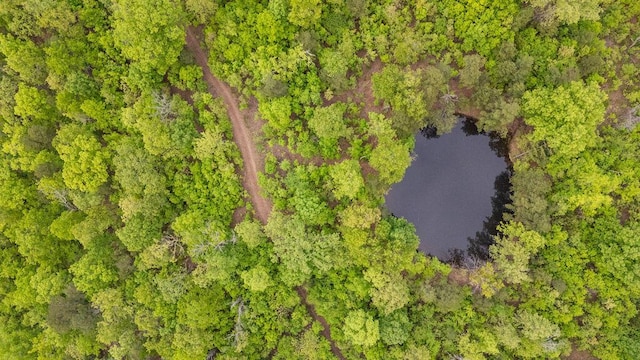 0000 County Road 3810, West Plains, MO 65775 - photo 114
