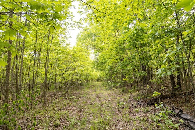 0000 County Road 3810, West Plains, MO 65775 - photo 58