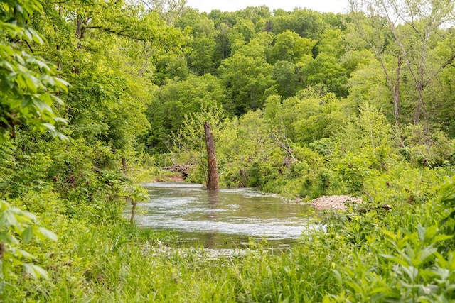 0000 County Road 3810, West Plains, MO 65775 - photo 79